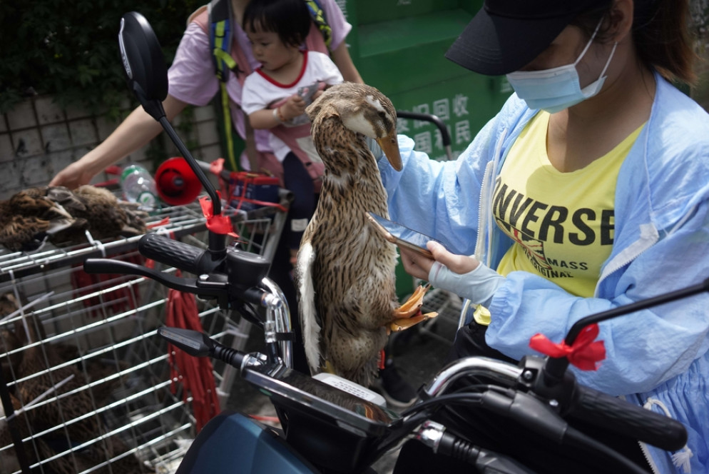 Animali vivi e senzienti venduti in un wet market cinese e trasportati senza alcun riguardo, come fossero oggetti - Courtesy of Animal Equality
