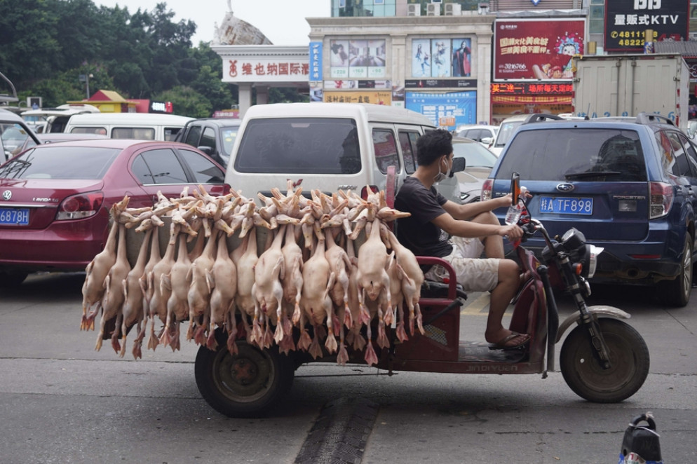 Il trasporto degli animali macellati nei wet market cinesi - Courtesy of Animal Equality