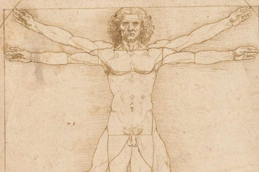 "L'umo vitruviano" di Leonardo da VInci, in mostra alle Gallerie dell'Accademia a Venezia