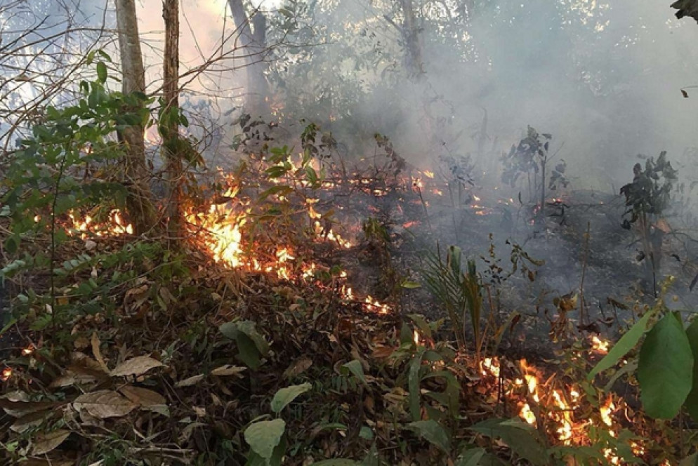 Le fiamme nell'Amazzonia brasilana dello Stato di Rondonia (Ansa)