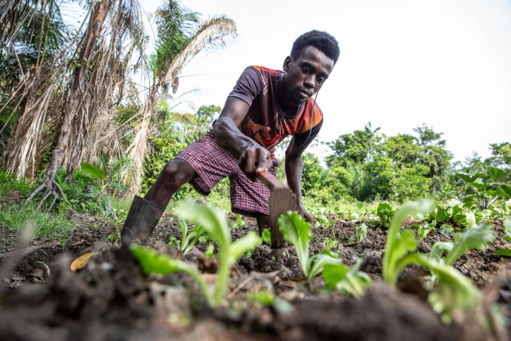 Un progetto di sostegno per le popolazioni dell'Africa - .