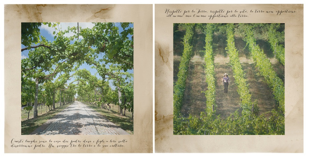 Uno dei dittici "Tra cielo e terra" per il concorso fotografico "Esplorare Gavi" - Loredana Mantello