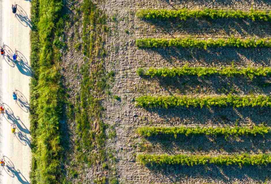 Un'immagine dell'Eroica Montalcino 2024 - foto Paolo Penni Martelli, per gentile concessione di L'Eroica<br />