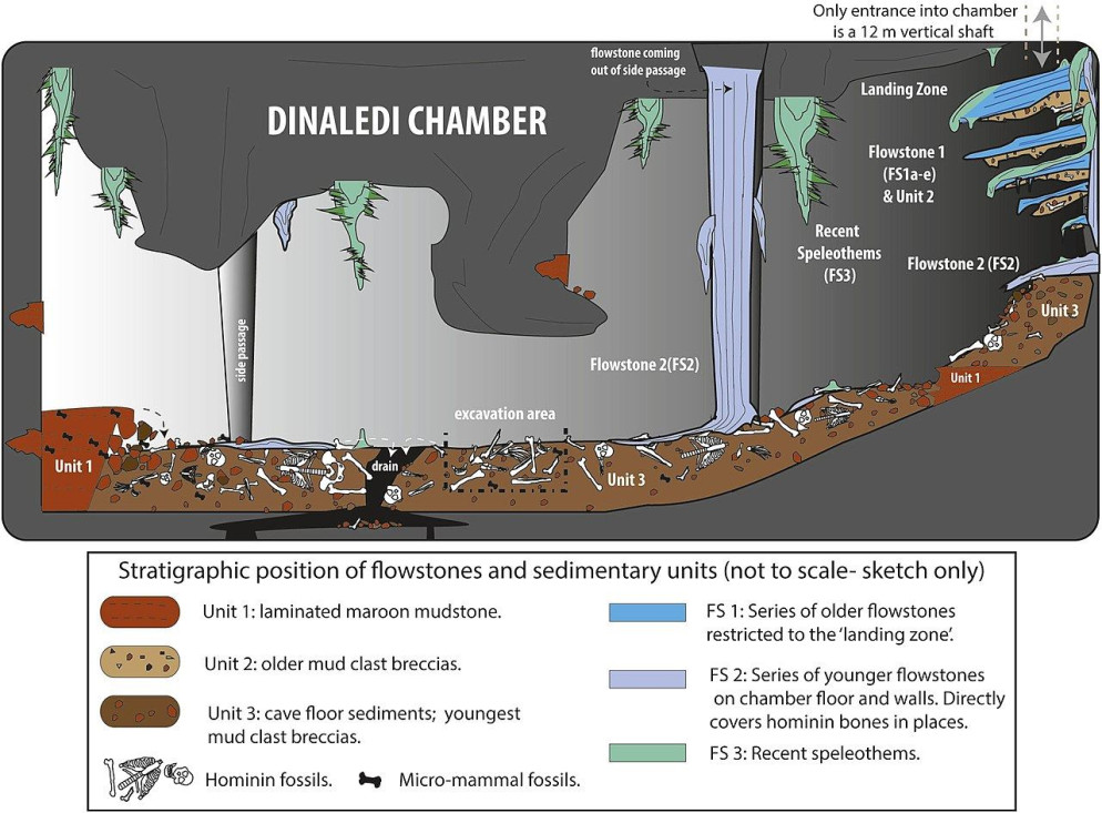 Una ricostruzione della grotta dove sono state ritrovate le “tombe” dell’Homo naledi - BioRxiv
