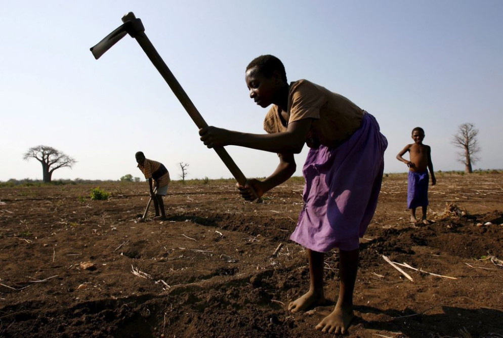 Grave la siccità nel Corno d'Africa - Ansa