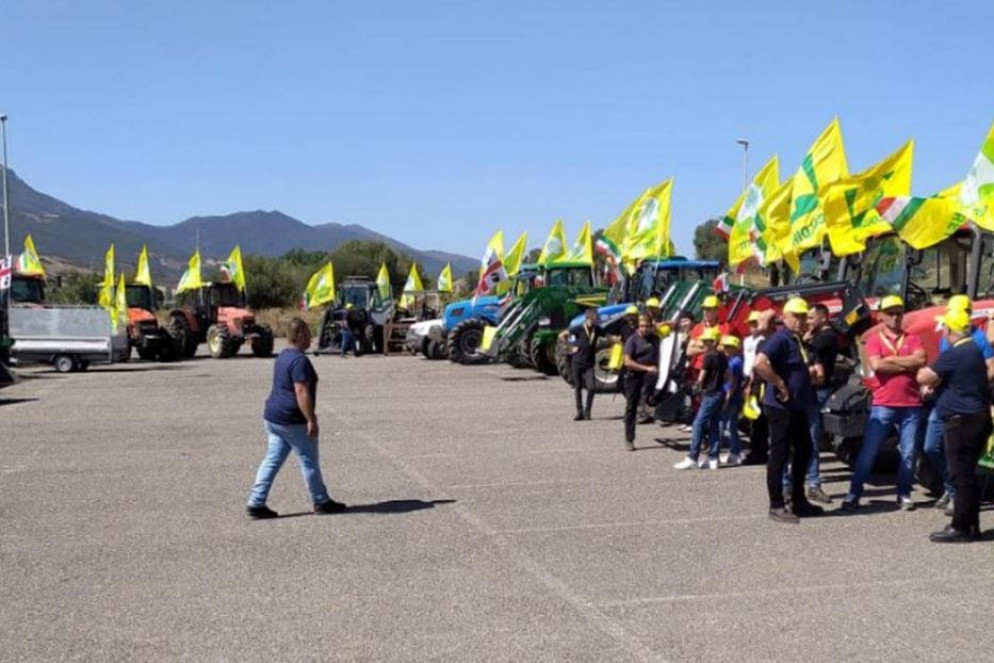 Mobilitazione di Coldiretti, trattori in marcia contro l'emergenza siccità - Ansa