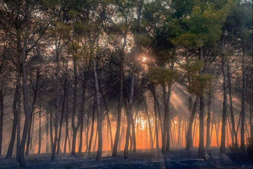 Foto Luca Tocci