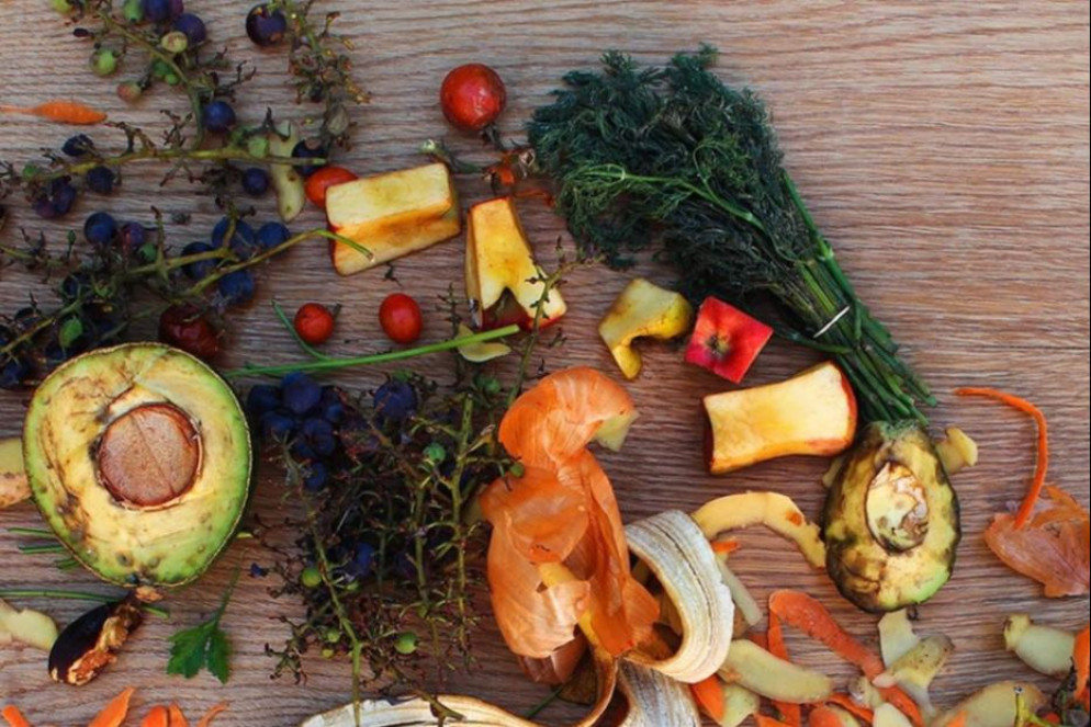 Ogni settimana nel bidone 683,3 grammi di cibo pro capite, rispetto ai 469,4 del 2023 - Wwi