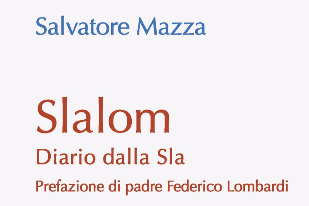 Un dettaglio della copertina del libro - .