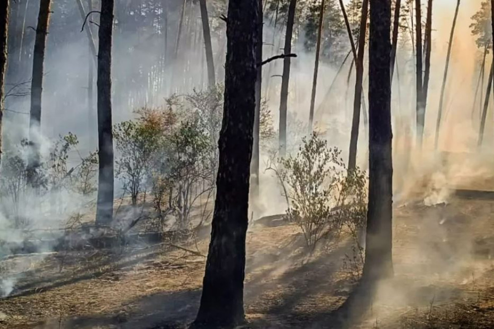 Foto di distruzione in Ucraina - .
