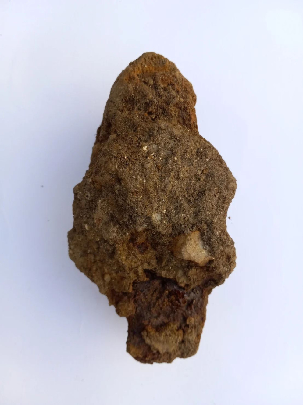 Una punta di lancia trovata nel sito - Visona/Università del Kentucky/Fondazione per l'archeologia calabrese