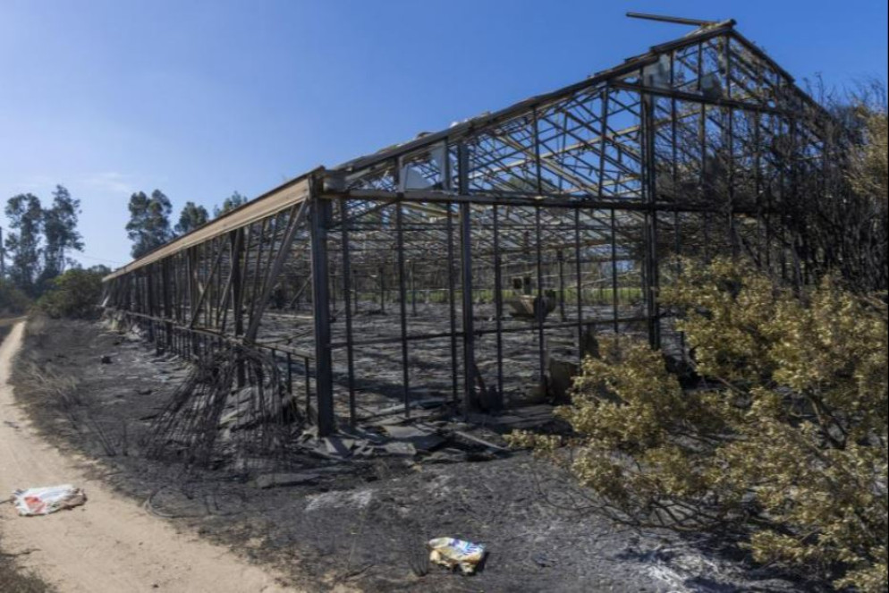 La natura dolosa è stata accertata dalla Forestale per alcuni roghi divampati nel sud dell'isola e nel Nuorese: sono stati trovati gli inneschi che testimoniano l'azione volontaria da parte, finora, di ignoti - ANSA