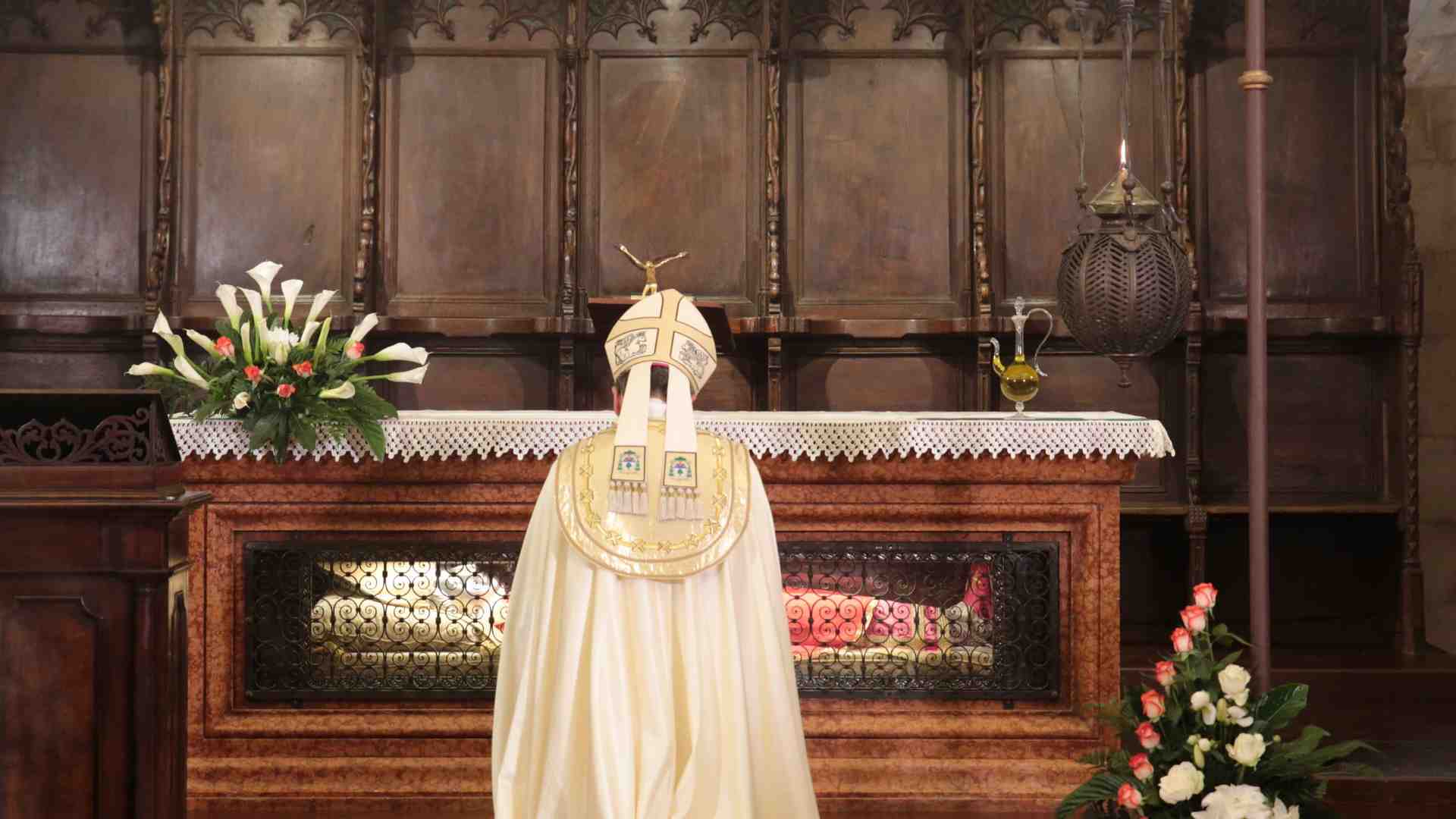 Immagine di La “semina” del patrono Zeno