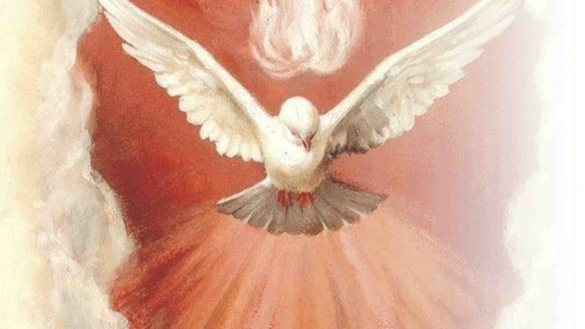 Immagine di Il dono della pace  segno della benedizione del Signore