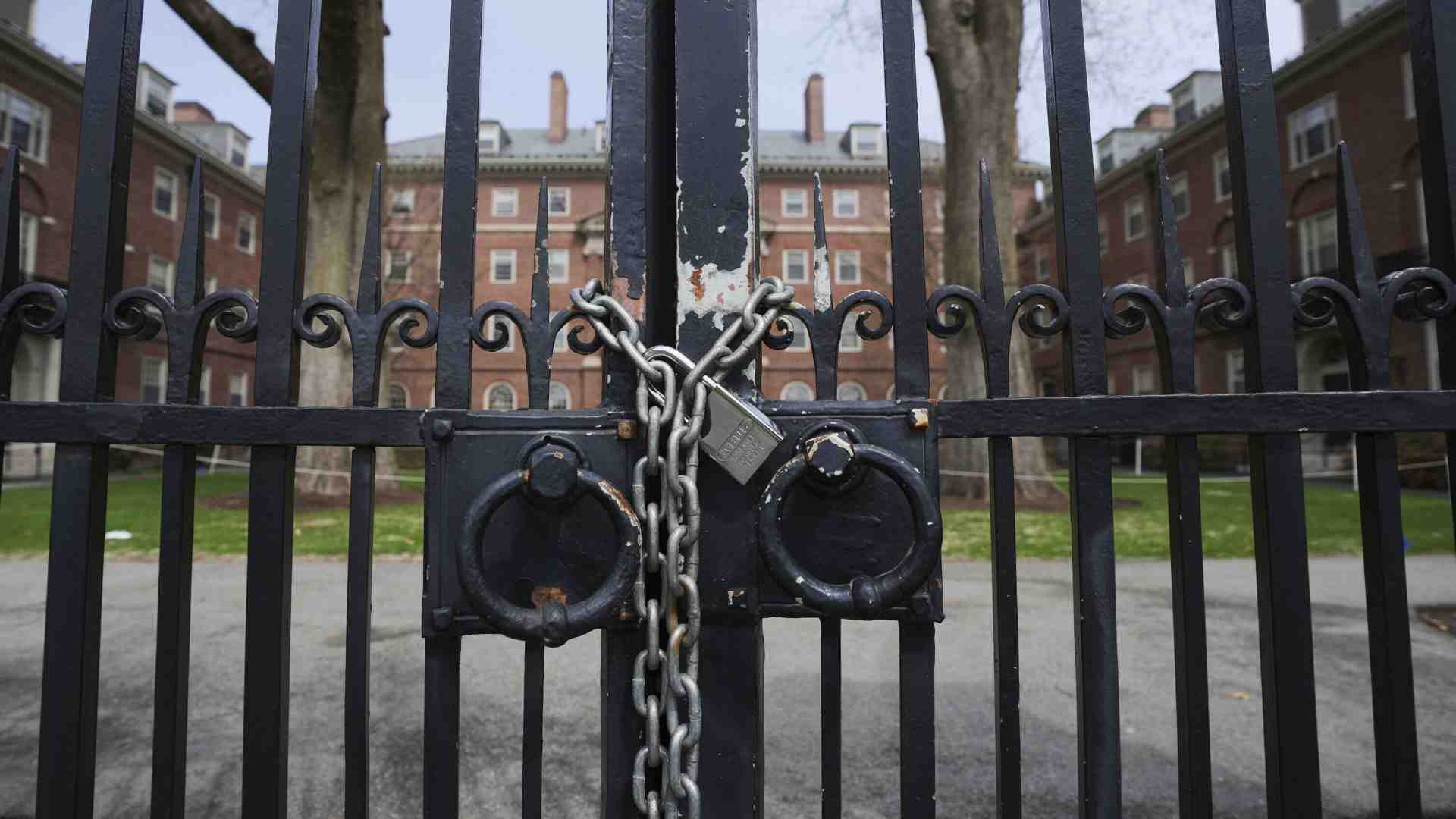 Immagine di Il ban di Trump agli studenti esteri di Harvard è antieconomico: blocca l’esportazione di servizi