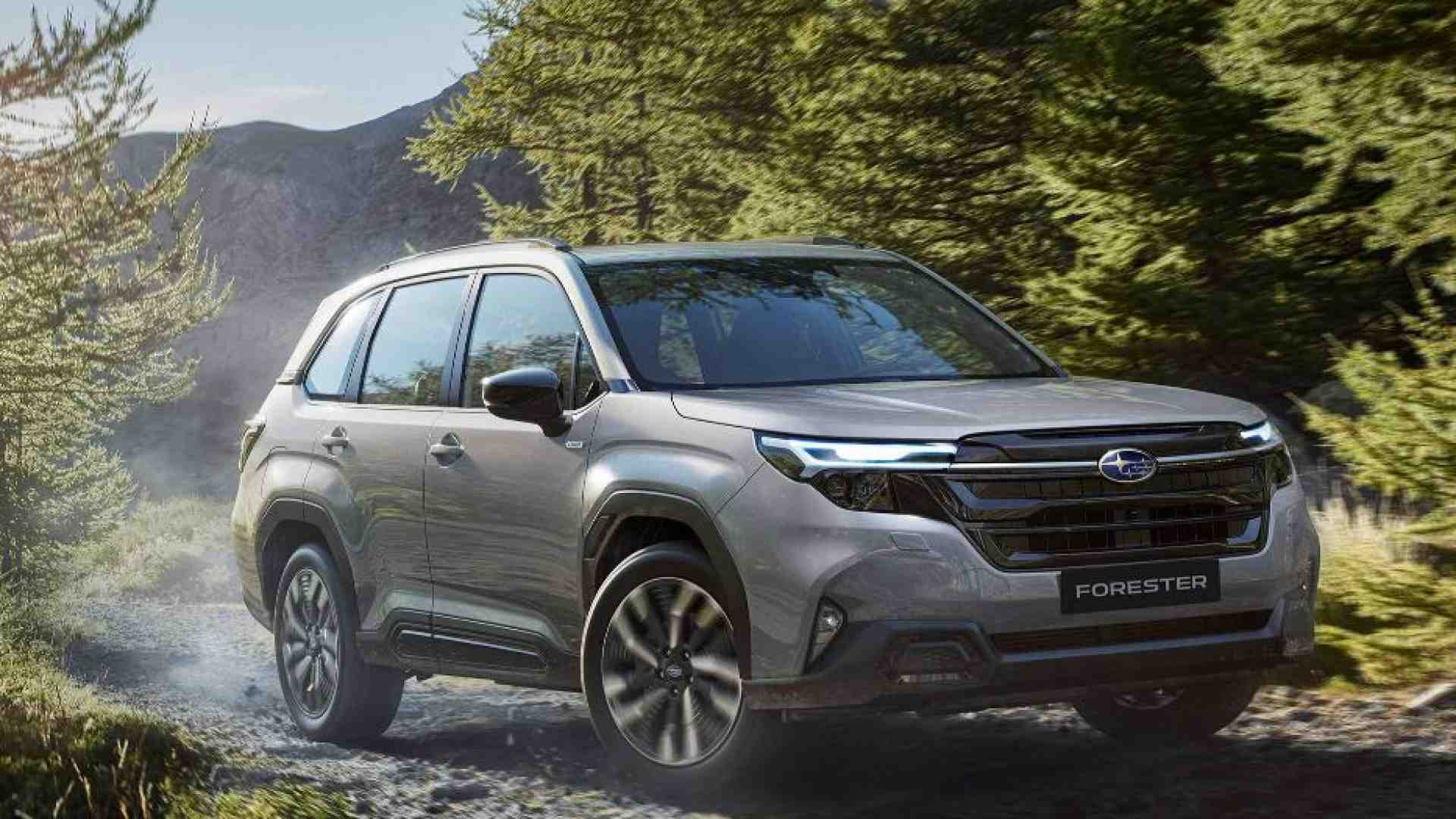 Immagine di Subaru Forester da premio per il rapporto qualità-prezzo