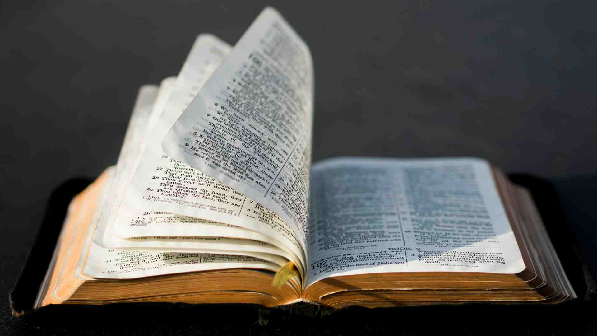Immagine di Che ne sarebbe stato della storia del mondo senza questi zotici pastori erranti?