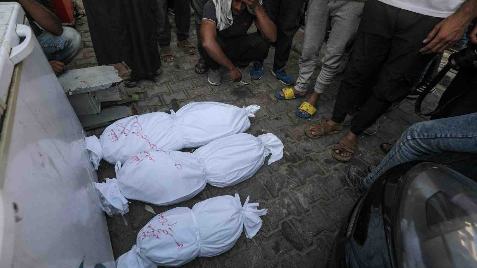 Immagine di L'Italia vuole accogliere Adam, l'unico fratellino scampato al raid israeliano