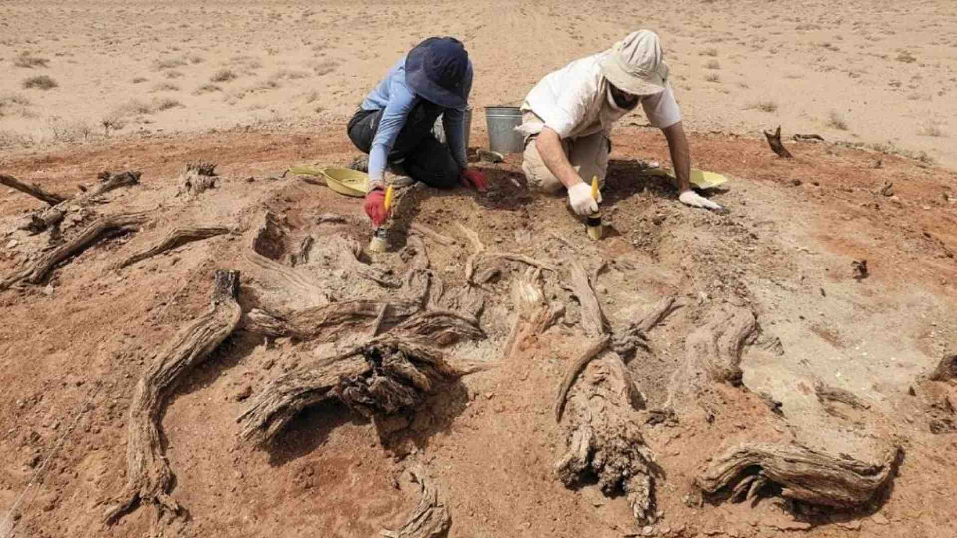 Immagine di Prima della Grande Muraglia i cinesi costruirono il grande muretto