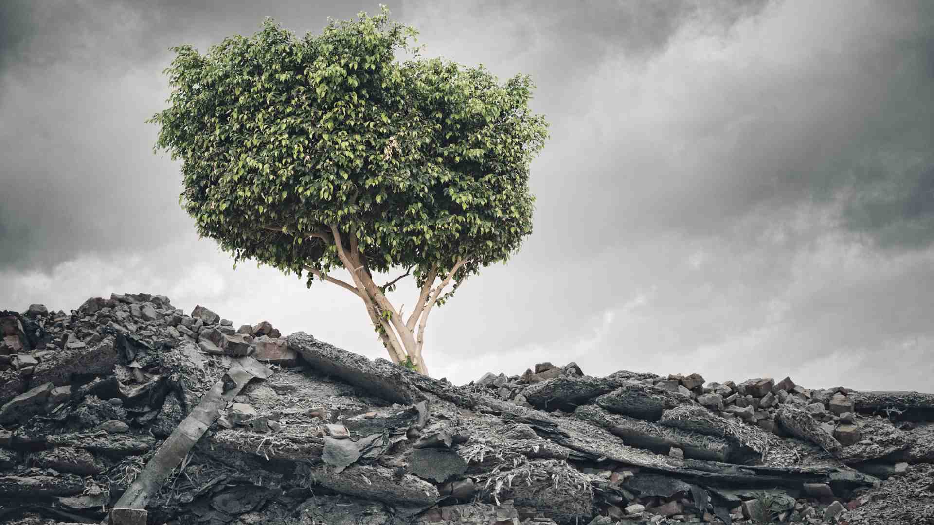 Immagine di È questo capitalismo speculativo a farci detestare gli esseri umani