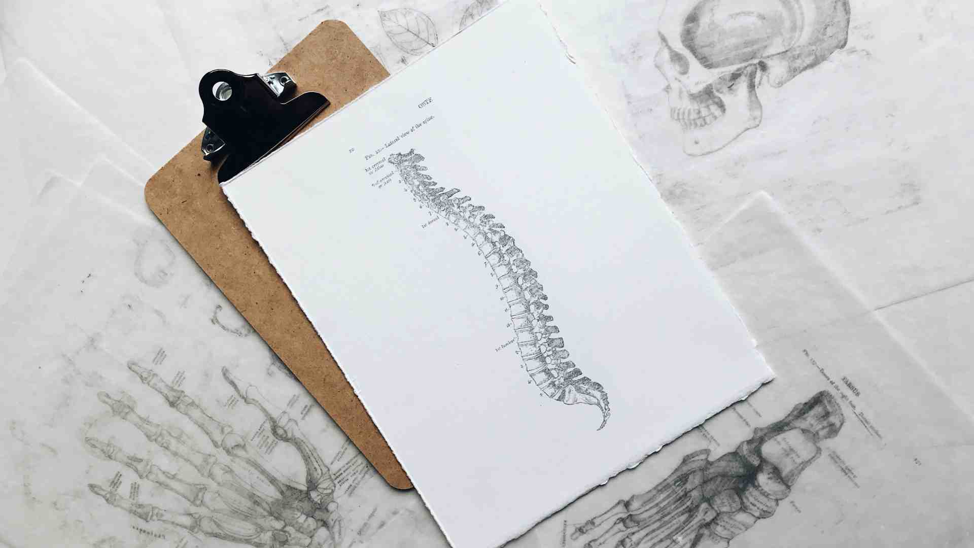 Immagine di Noi, un infinito chiuso in un vaso di coccio. Lettera da una radiografia