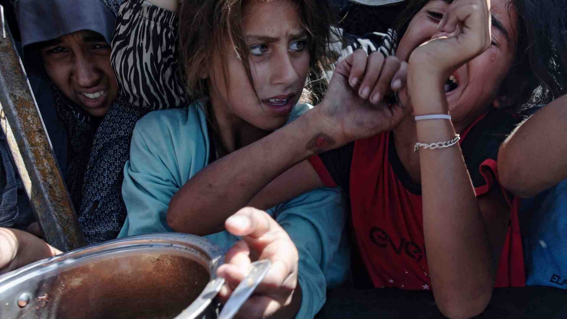 Immagine di Ospedali colpiti, vittime e fame: ecco i numeri di Gaza