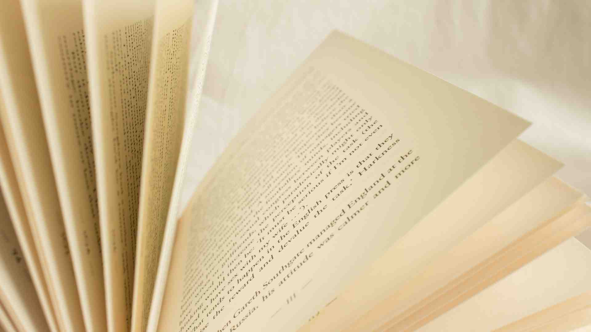 Immagine di Andrea Long Chu contro i recensori servizievoli