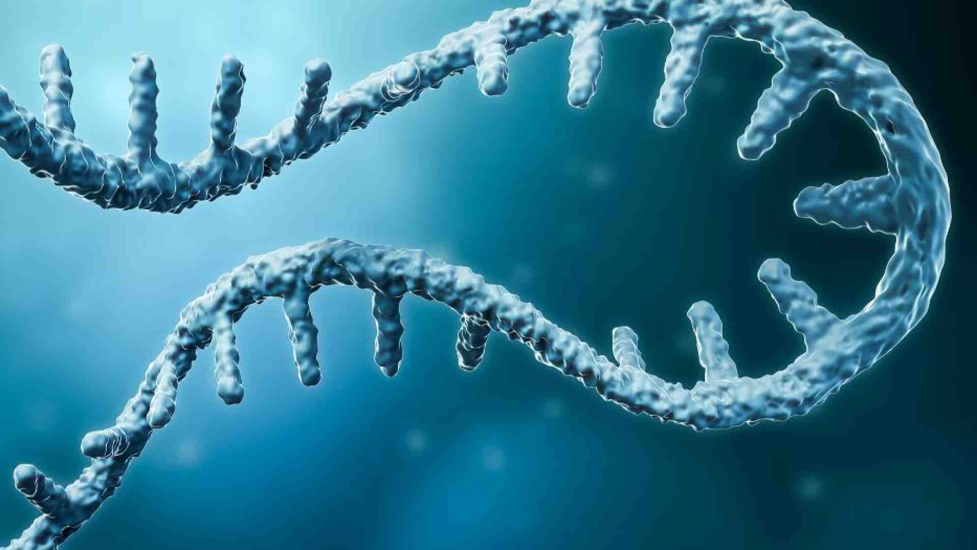Immagine di Rna messaggero, il "passe-partout" della ricerca