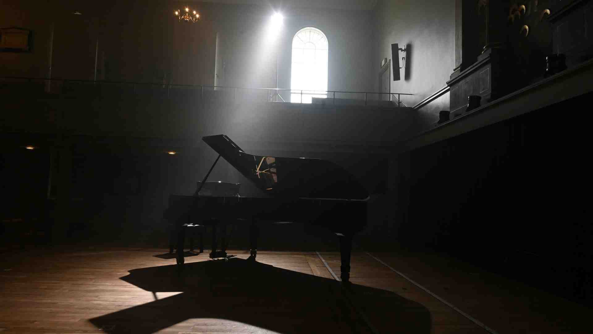 Immagine di Sua maestà il pianoforte