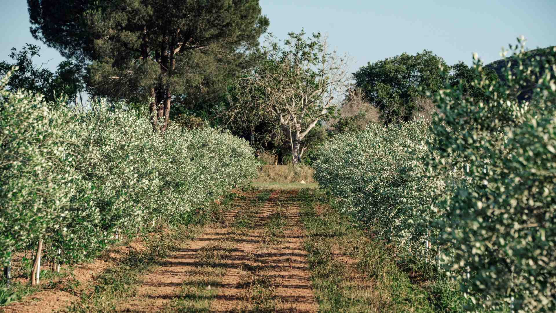 Immagine di Lavoro e più investimenti sul territorio: c'è una ricetta anti-spopolamento