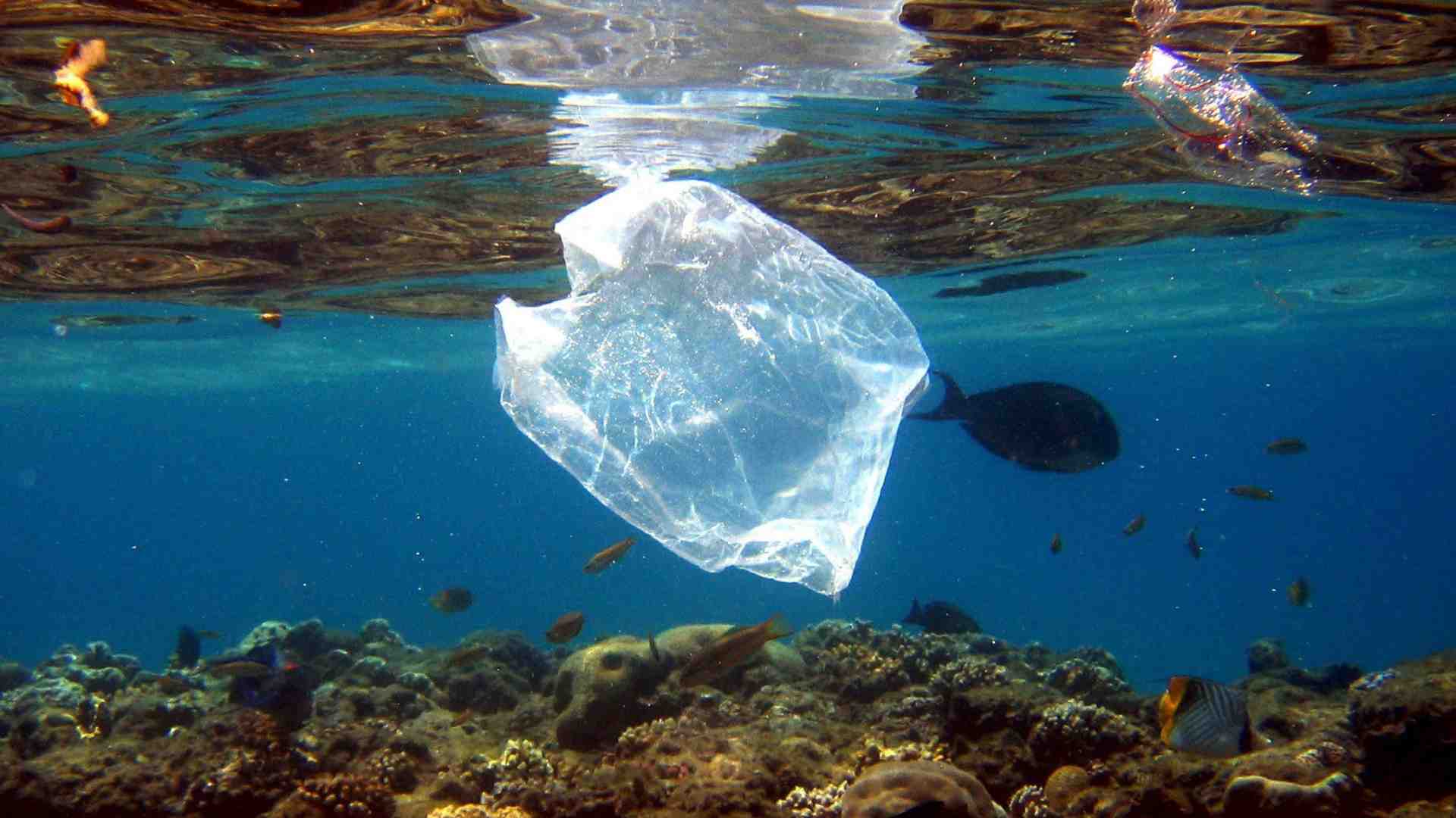 Immagine di Perché la Giornata dell'Ambiente impone una scelta subito sulla plastica