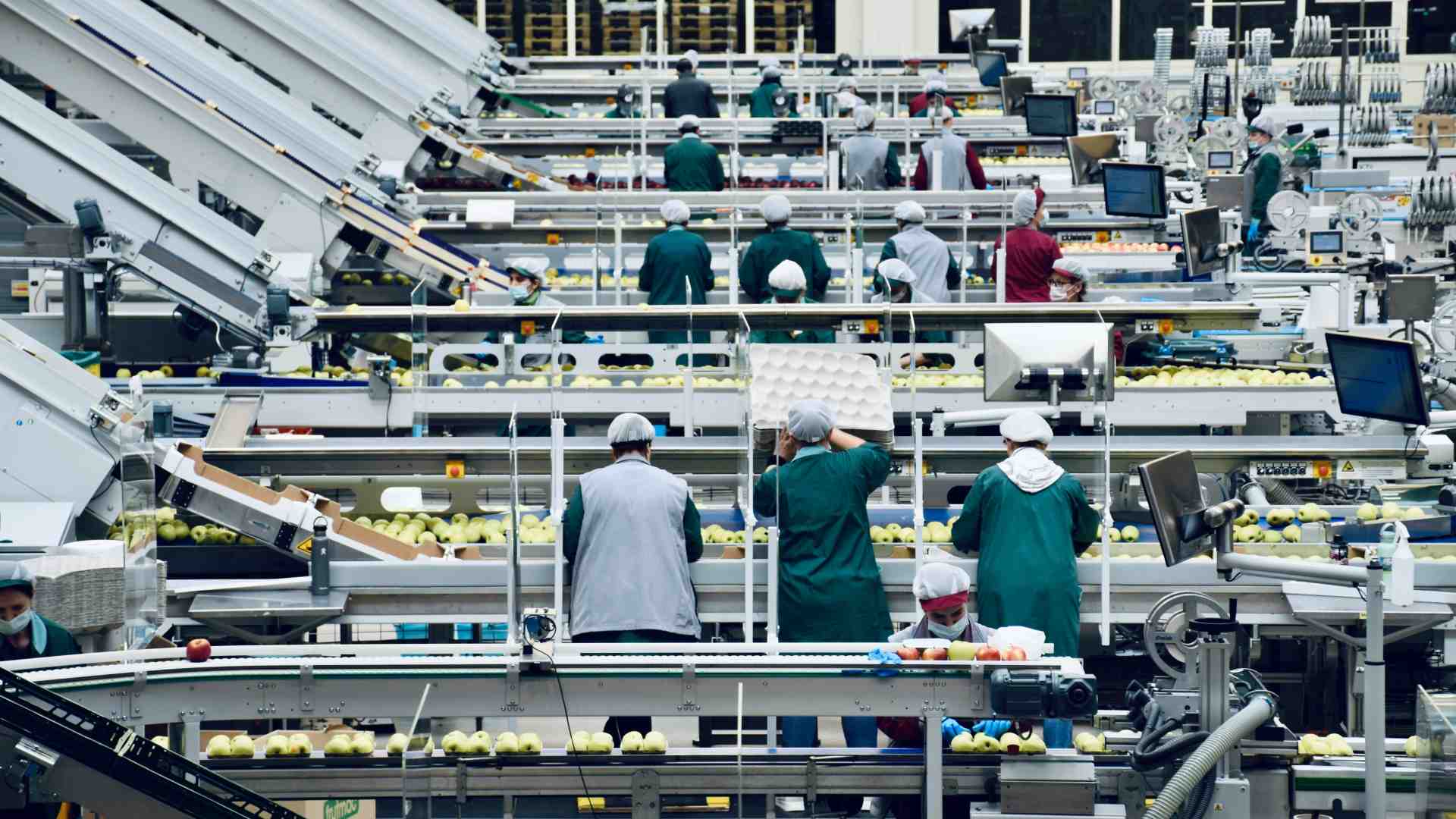 Immagine di Tutte le balle da smontare sui licenziamenti causati dal Jobs Act