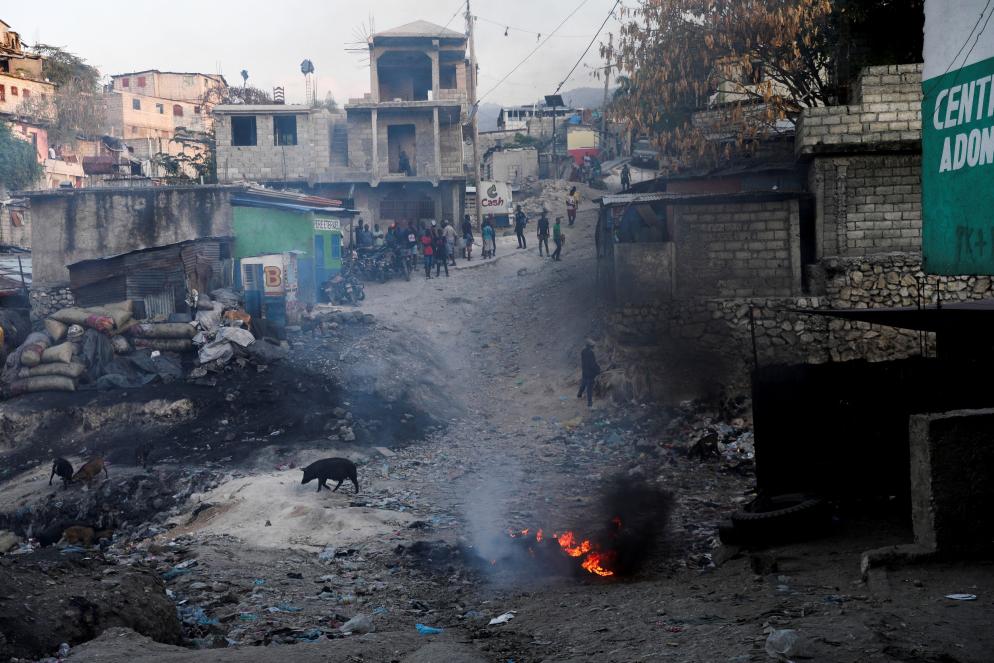 Maiali per le strade di Port-au-Prince dilaniate dalla violenza delle gang - Reuters