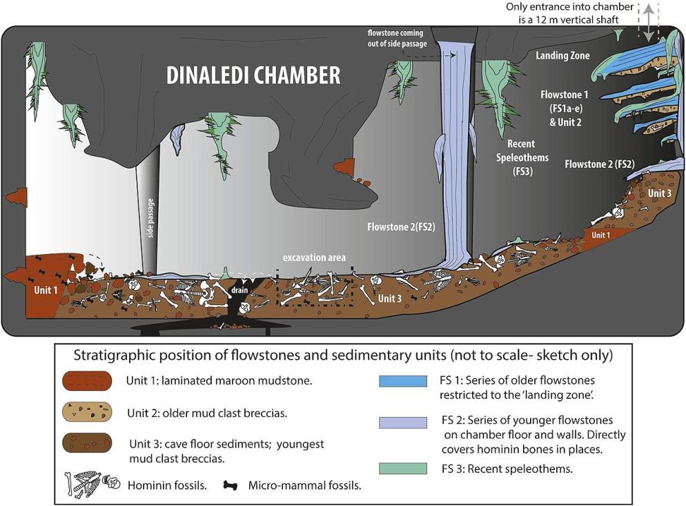 Una ricostruzione della grotta dove sono state ritrovate le “tombe” dell’Homo naledi - BioRxiv