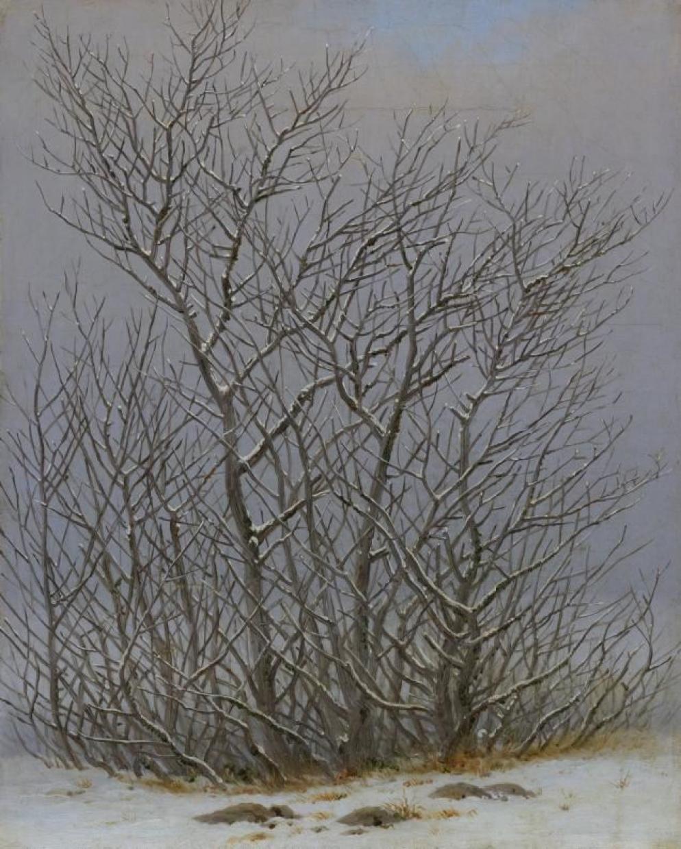 Caspar David Friedrich, “Cespugli nella neve”, 1827-1828 - Albertinum/Staatliche Kunstsammlungen Dresden/Elke Estel-Hans-Peter Klut