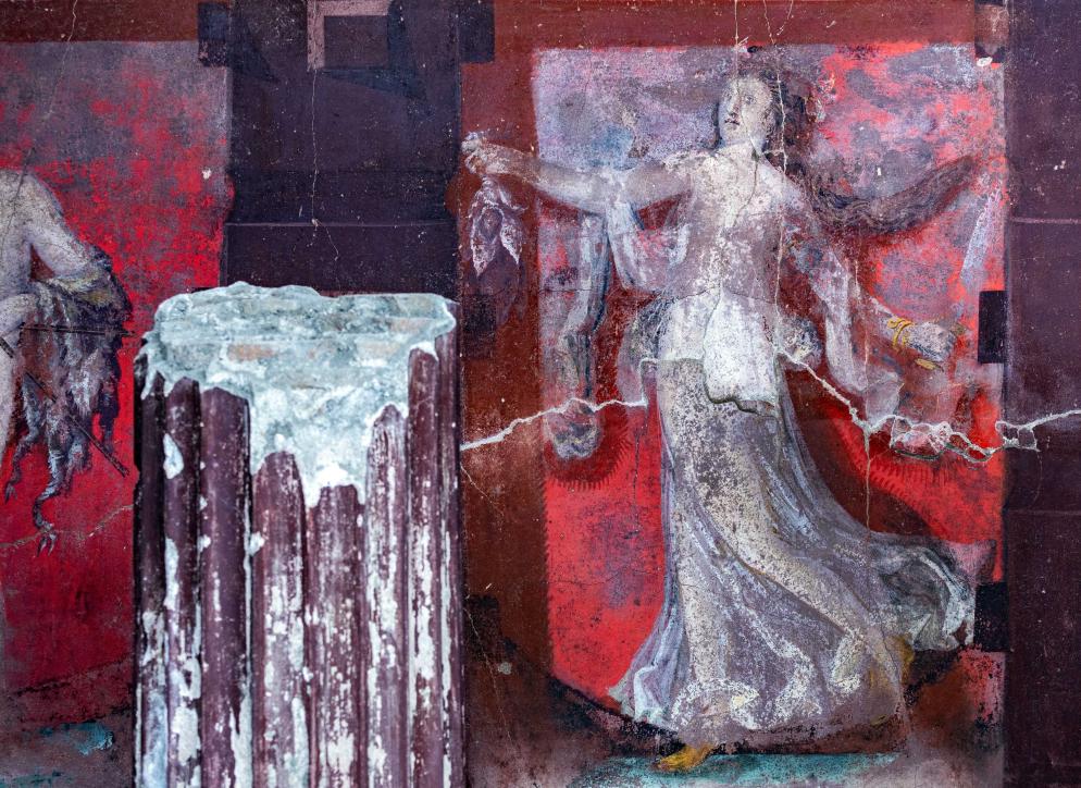La Casa del Tiaso a Pompei - Fotogramma