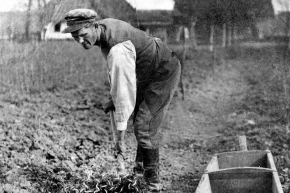 Josef Ulma mentre lavora i campi vicino a casa - museumulmow.pl