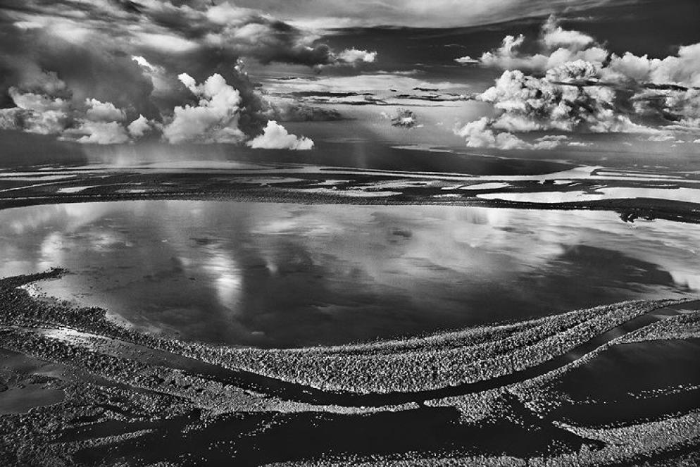 Anavilhanas, isole boscose del Río Negro. Stato di Amazonas, Brasile, 2009 - © Sebastião Salgado / Contrasto