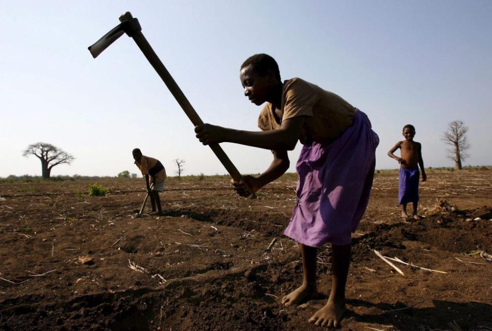 Grave la siccità nel Corno d'Africa - Ansa