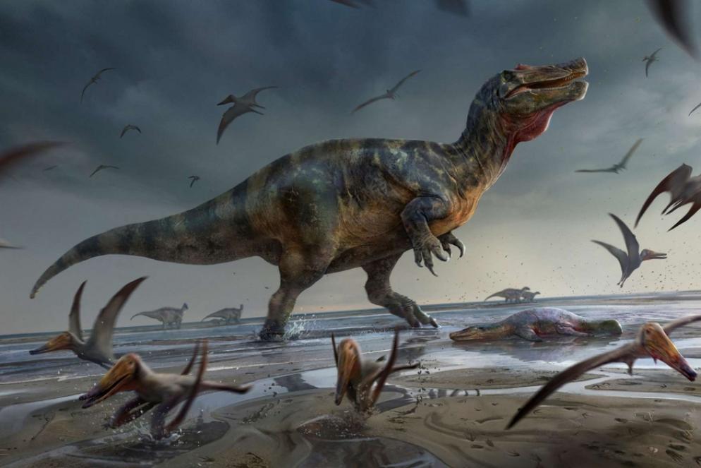 Una ricostruzione artistica di come doveva essere lo "Spinosauride della roccia bianca" vissuto in Europa 125 milioni di anni fa - Anthony Hutchings / via Reuters