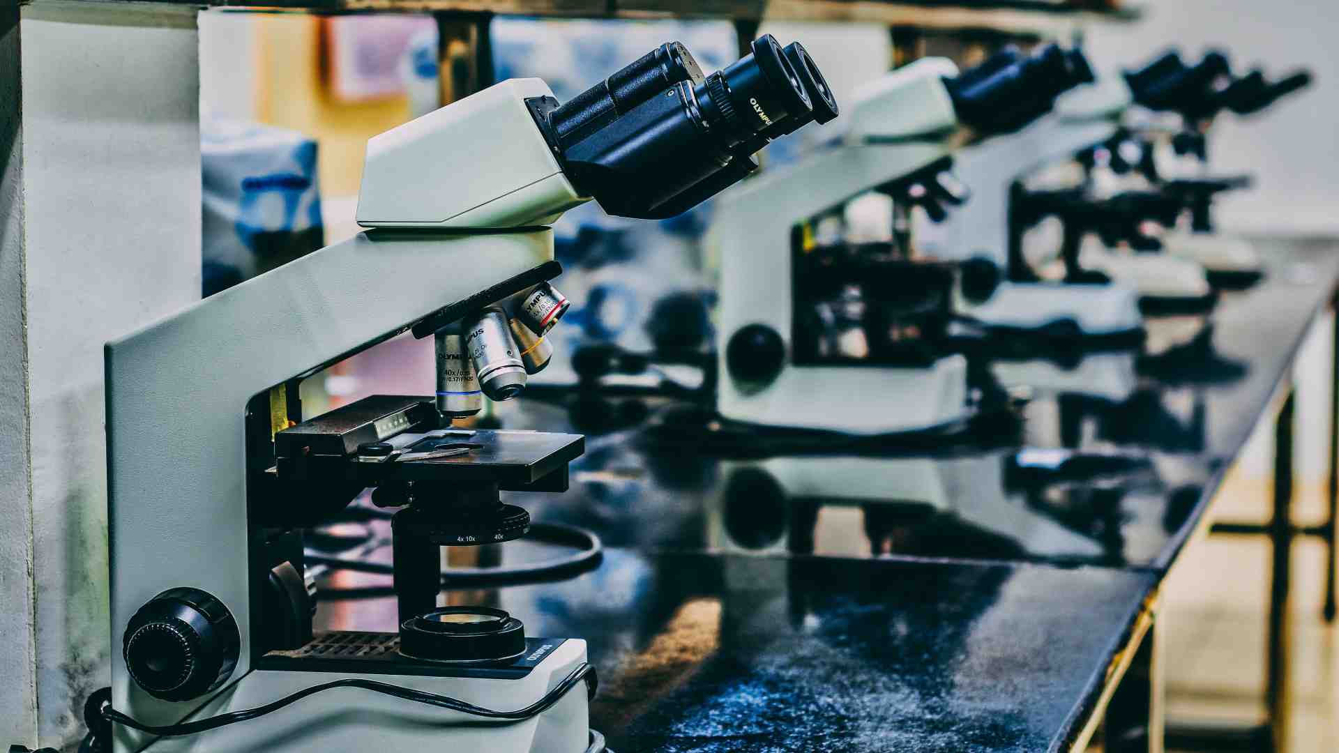 Immagine di Il Consiglio nazionale delle ricerche è senza guida