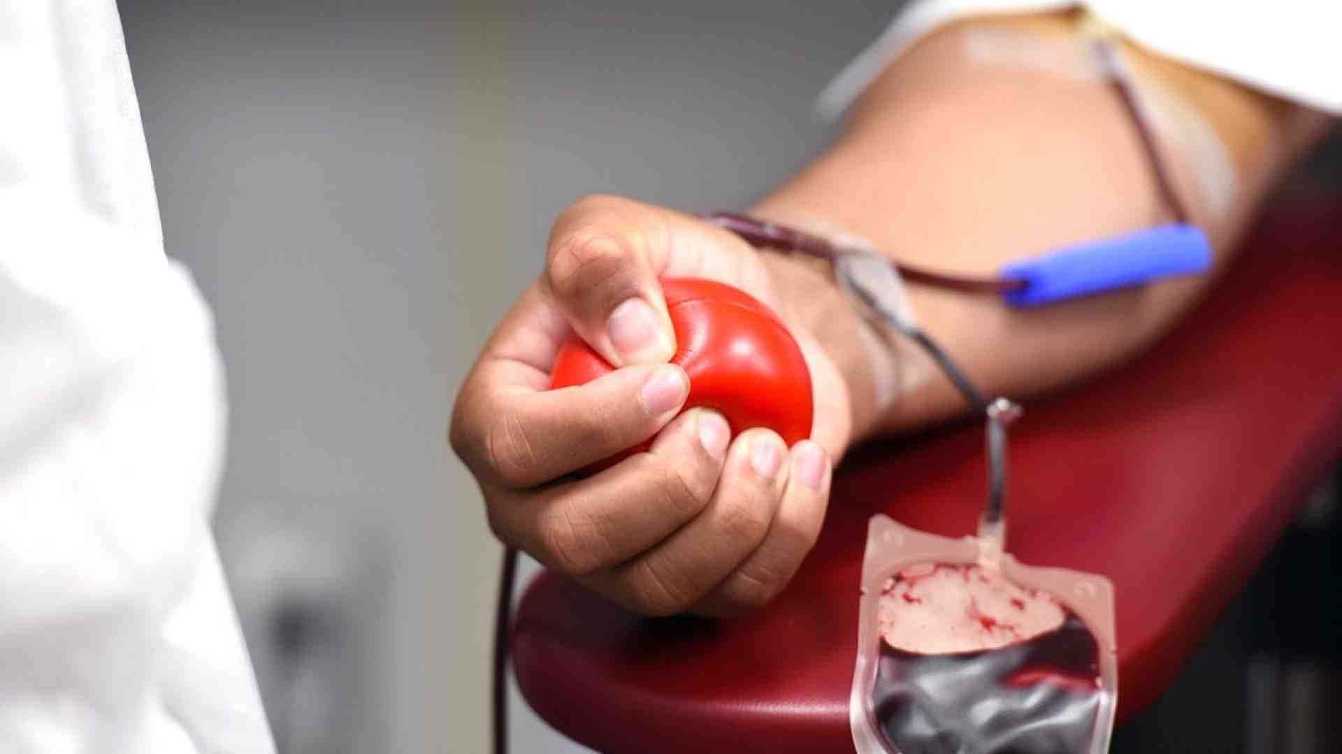 Immagine di Giornata mondiale del donatore di sangue: l'appello di Avis, Asfa e Fidas Verona