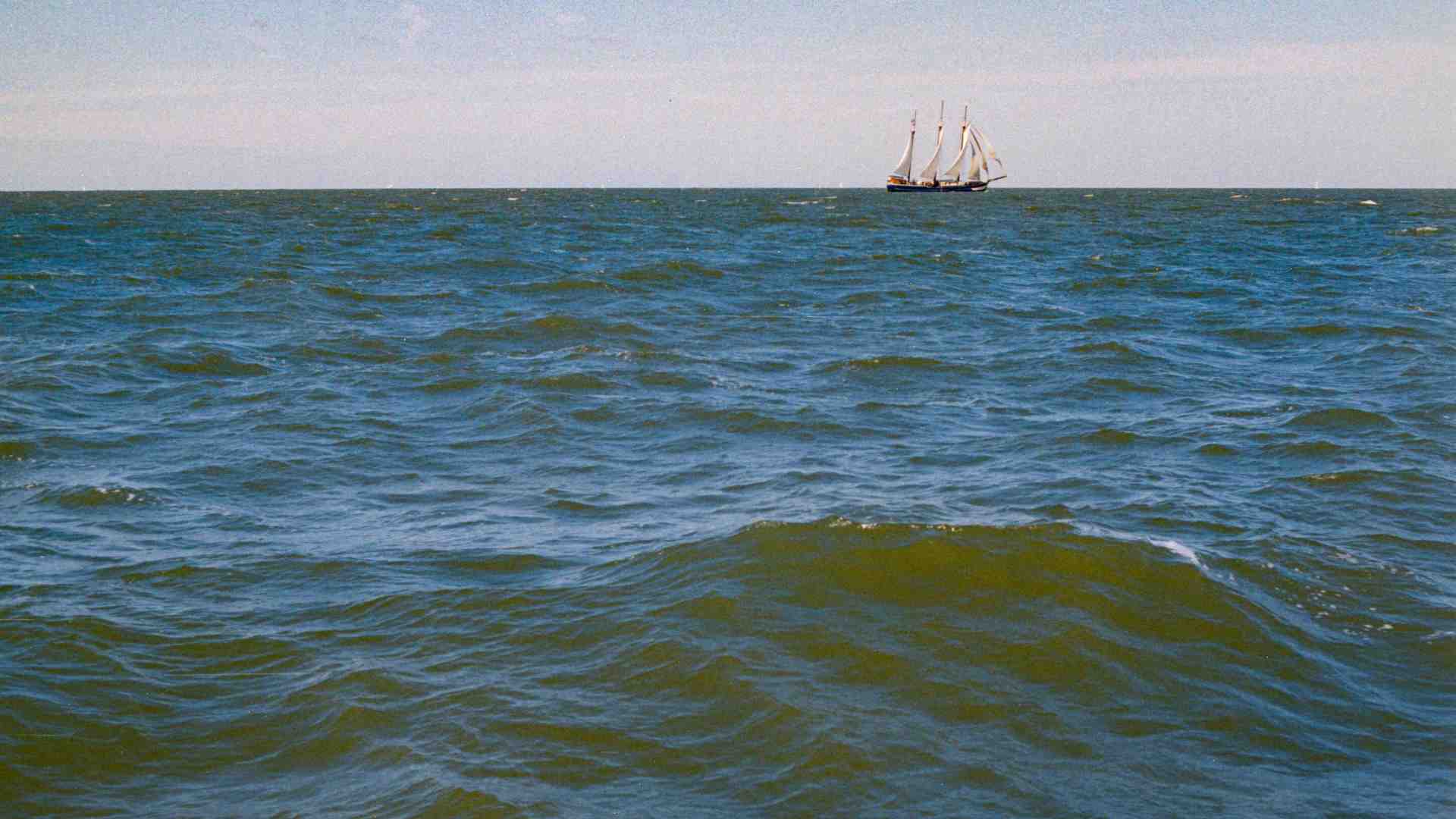 Immagine di L’isola (e lo stato) che non c’è, ma potrebbe esserci presto. Nuove micronazioni crescono