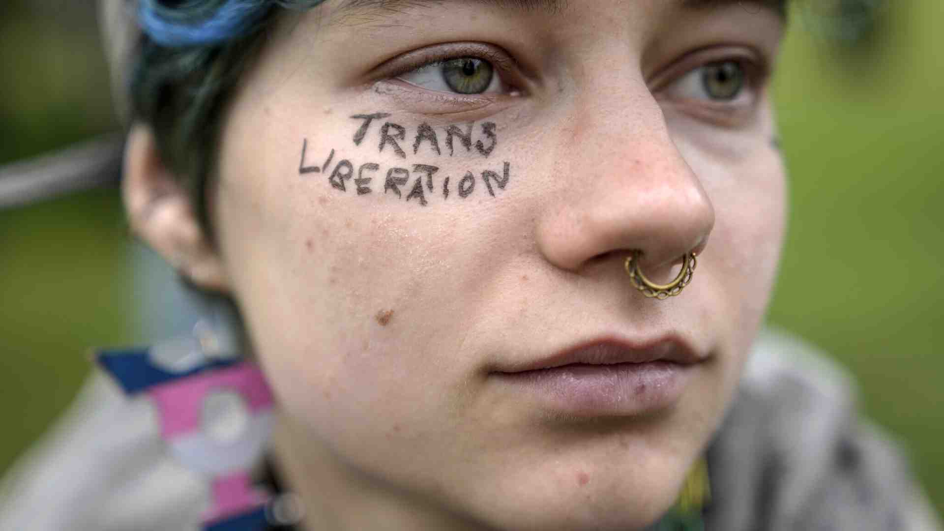 Immagine di Desistere dal gender. Diario di Rebecca