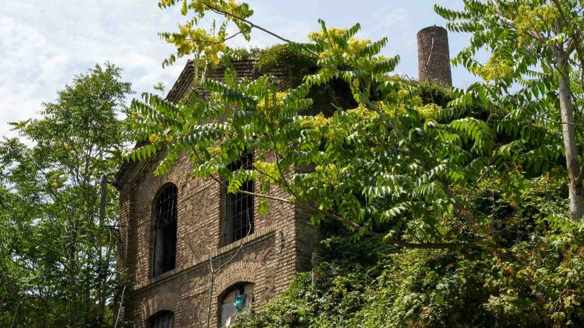 Immagine di Lì dove c'era lo stabilimento Mira Lanza nascerà uno studentato