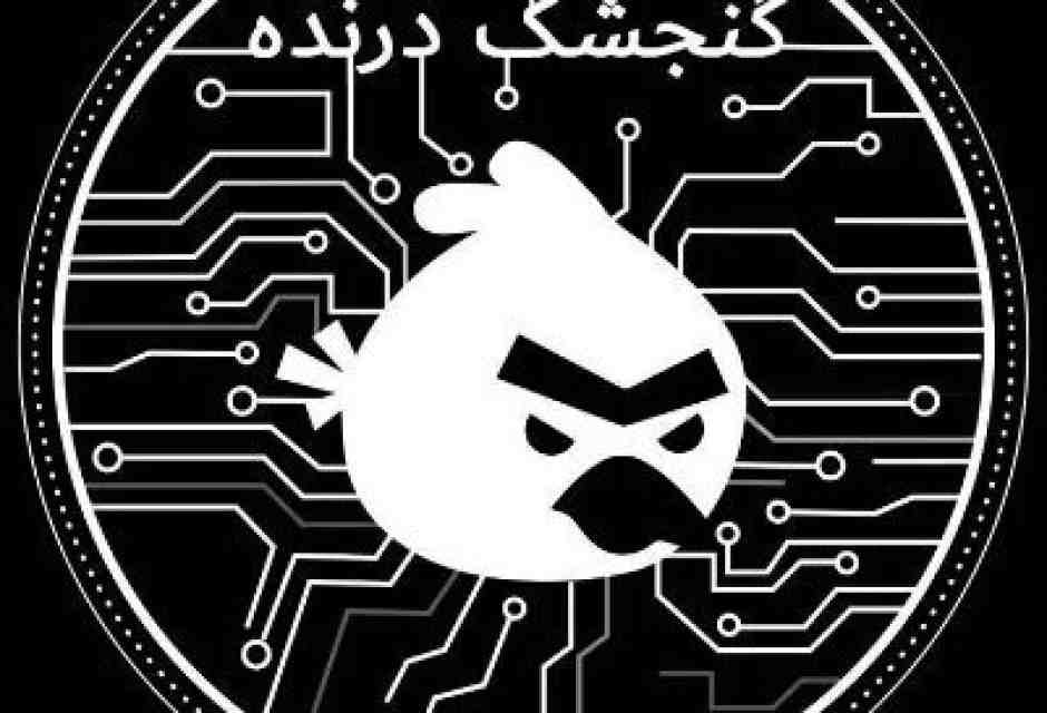 Gli attacchi “hacktivisti” del “passero predatore” che puntano a Khamenei