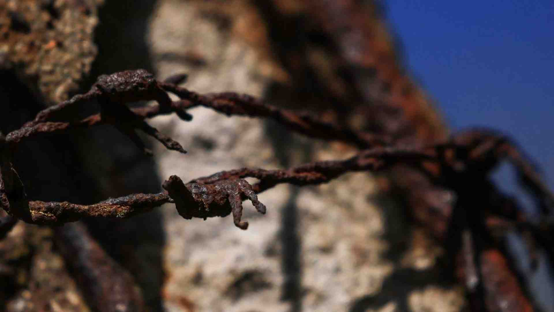 Immagine di Martiri dei nazisti e della Guerra civile spagnola: ecco i 174 nuovi beati