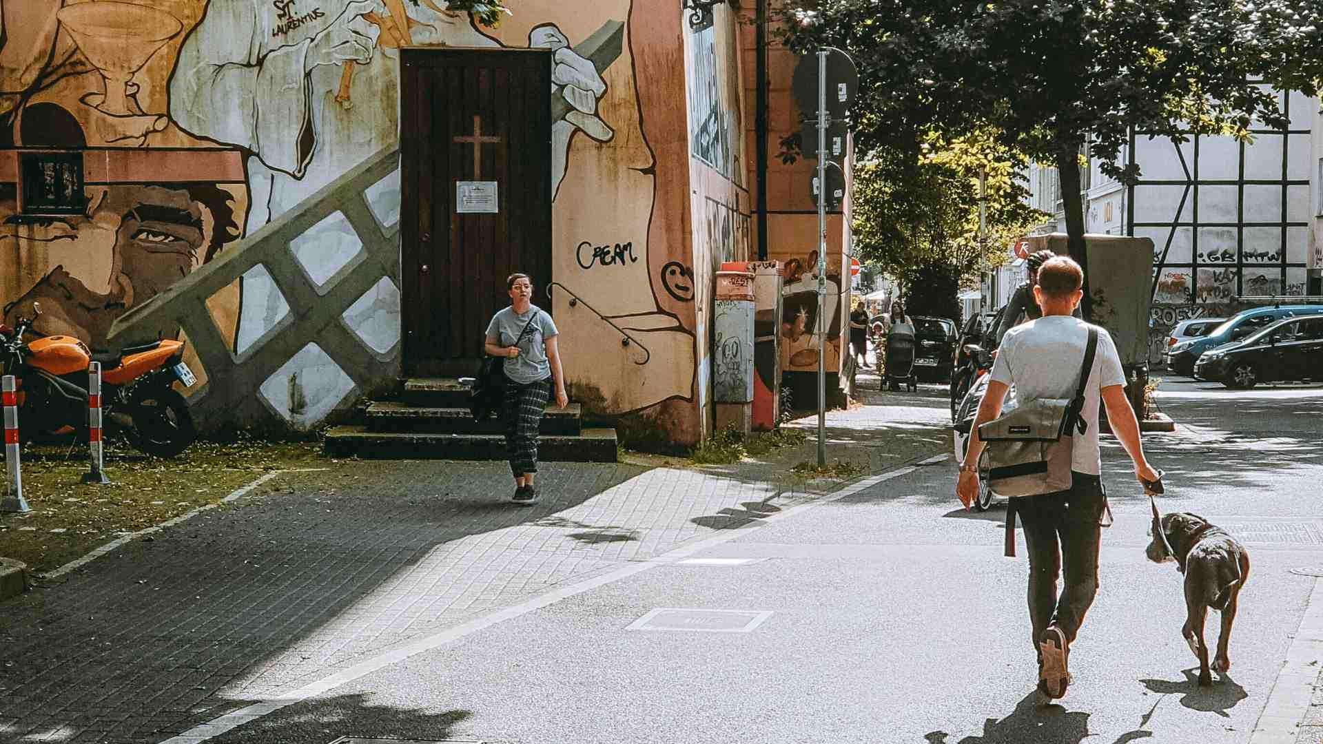 Immagine di Quindi è questa l’estate, tra cornetti impazziti e cani nascosti