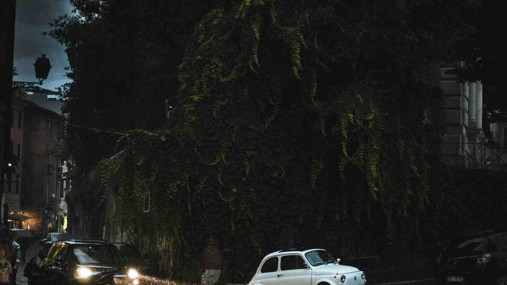Immagine di Cronache dal battuage. Ricordi e rovine dell’eros clandestino