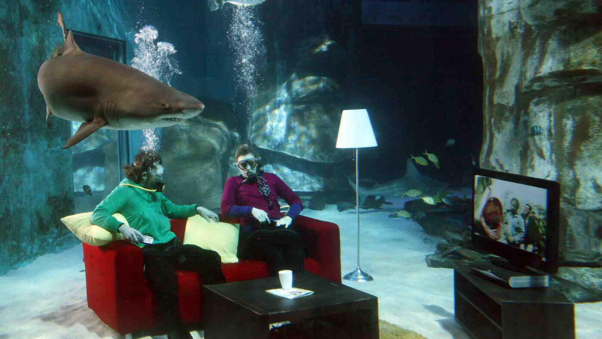 Immagine di Lo Squalo a cinquant'anni dalla sua uscita continua a terrorizzare e affascinare gli spettatori